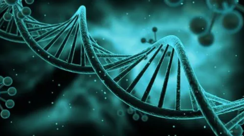 生物技術(shù)翻譯需要關(guān)注哪些要點？