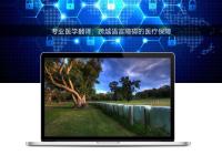 專業醫學翻譯：跨越語言障礙的醫療保障