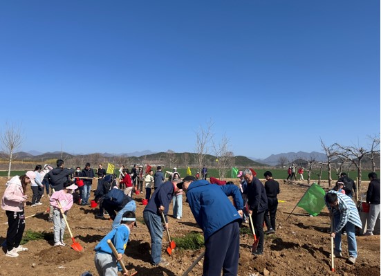 踐行綠色發展，康茂峰開展第四屆義務植樹活動